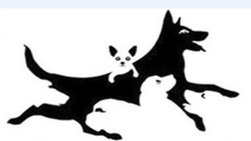 Koliko ste mentalno sazreli? Mozgalica otkriva da li ste mudri ili svet gledate kroz „ružičaste naočare“